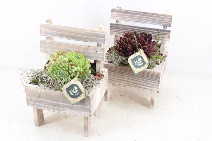 <h4>arr4 Semp JS - Houten stoel x6</h4>