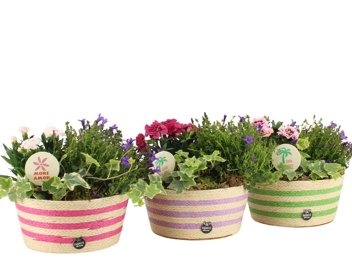 <h4>31602: Outdoor summer arrangement</h4>