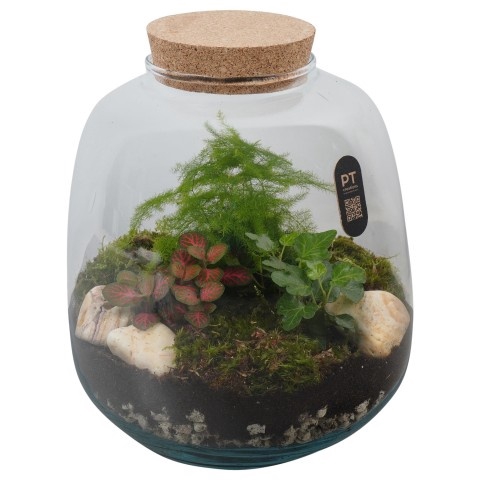 <h4>Opm Pt PTTER8128 Terrarium Glas</h4>