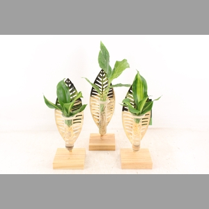 arr3 VD - Verona glas