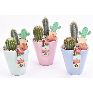 Keramiek pot kl. mix 11.5cm