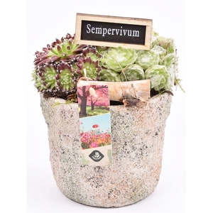 Cement pot grof 13cm