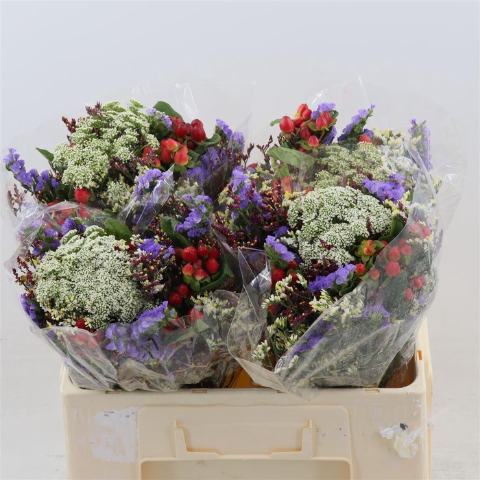 <h4>Gemengd Boeket Zomerboeket Overig</h4>