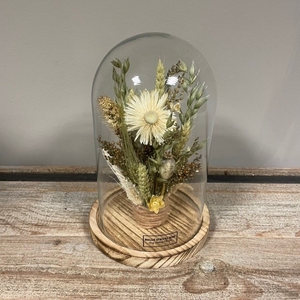 stolp 12x20 natur-wit droog