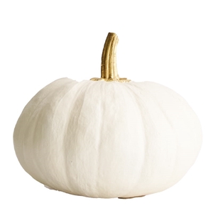 Homedeco Pumpkin d15*13.5cm