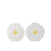Bloom White Vase Daisy Ass 30x9x30cm