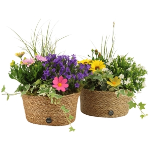 31705: Outdoor summer arrangement