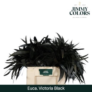 Victoriablad Gekleurd Klbh. Zwart