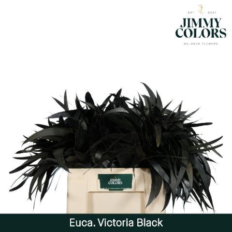 <h4>Victoriablad Gekleurd Klbh. Zwart</h4>