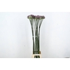 ALLIUM GVREUS XL