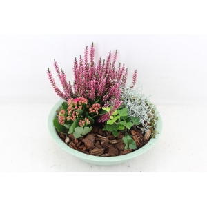 arr4 Outdoor PL - Zink schaal groen L