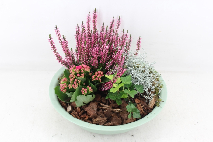 <h4>arr4 Outdoor PL - Zink schaal groen L</h4>