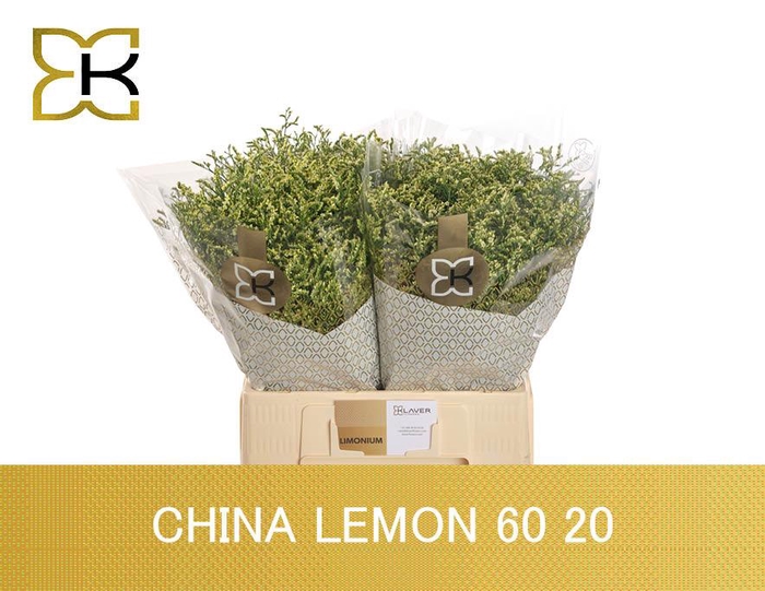 <h4>Lim Sin China Lemon</h4>