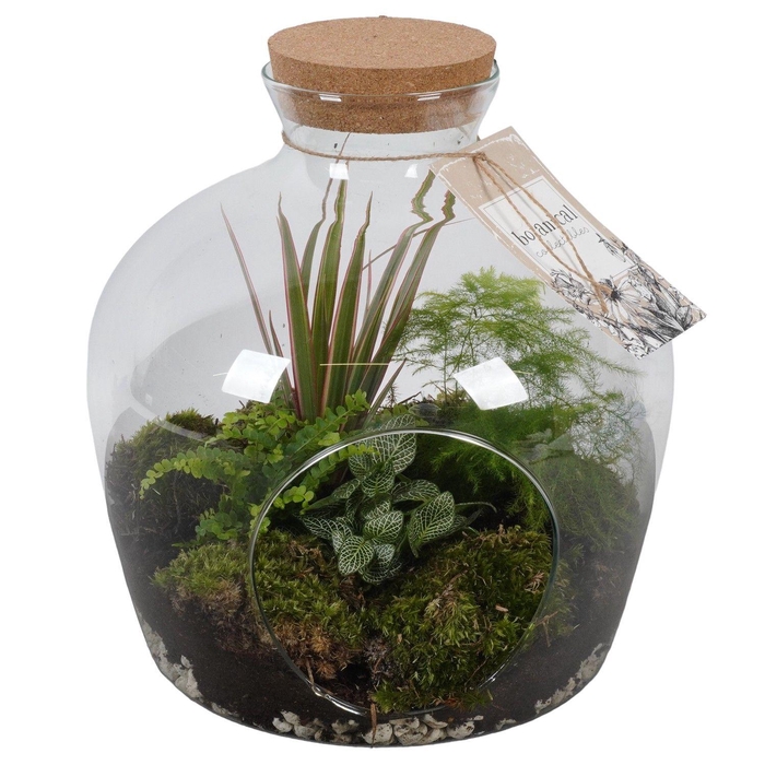 <h4>PTGIG2154 Arrangement Greens in glass in glazen terrarium</h4>