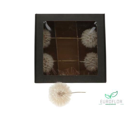 DANDELION 5PCS D11 35CM