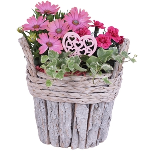 Mothersday Arr. Outdoor Wooden White Washed Bark Bucket Ø22cm 3P