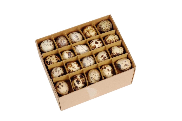 <h4>Deco Egg Quail 60pcs Natural</h4>