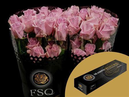 <h4>R Gr Nautica Box</h4>