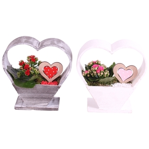 Valentine Arr. Indoor Wooden Heartshape Arcpot Ø20cm 1PP