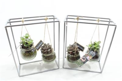 4630 Al.Rek + 2 GLASBOL