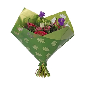 Hoes 35x35cm Oblique MOPP40 Clear Leaves groen 250/doos