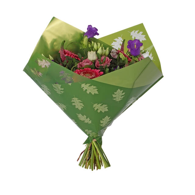 <h4>Hoes 35x35cm Oblique MOPP40 Clear Leaves groen 250/doos</h4>