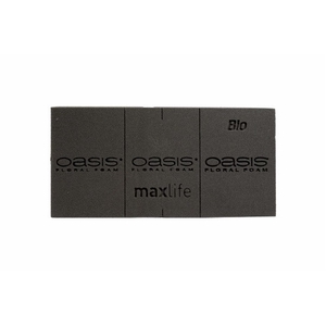 Oasis Bio Floral brick 23*11*8cm x20