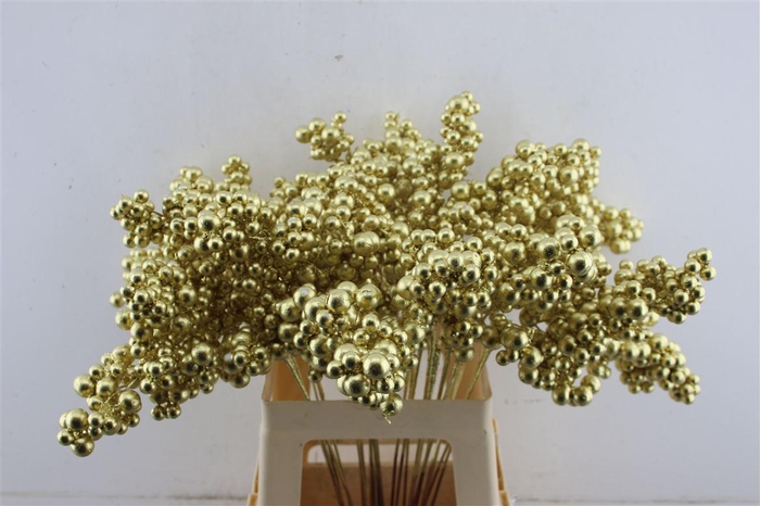 <h4>Berries Big Gold</h4>