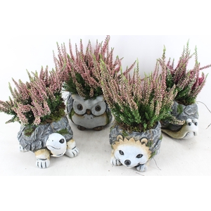 arr4 Outdoor PL - Ker. dierenmix 999/4