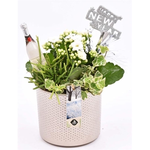 Keramiek pot champagne 14cm