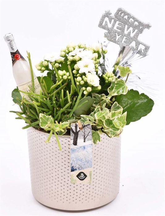 <h4>Keramiek pot champagne 14cm</h4>