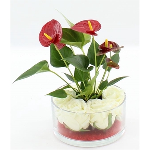 Anthurium Make-Upz Diamond Red in glazen schaal + rozen