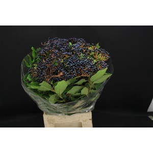 Vibur Met Bes 250 Gr