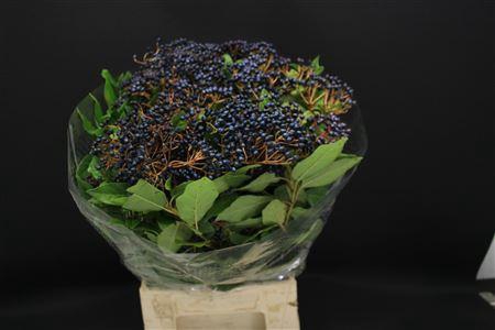 <h4>Vibur Met Bes 250 Gr</h4>