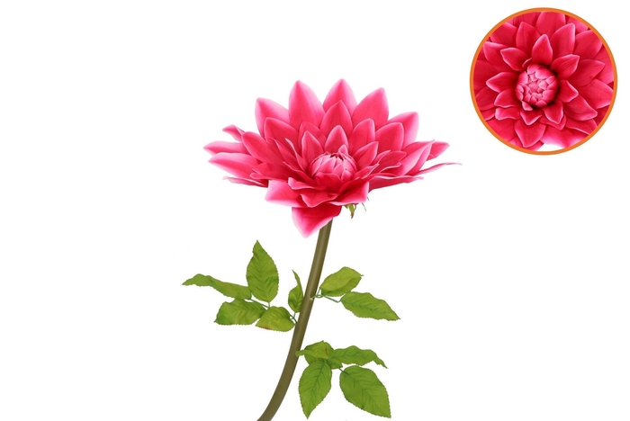 Silk Amazing Dahlia Beauty Fuchsia Xl 43x110cm