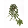 Hedera He White Ripple Beperkt leverbaar