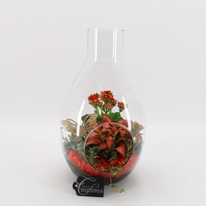 BACR-2505R Basic fundamentals terrarium