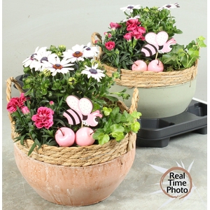 ARR GARDEN BASKET X2