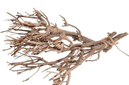 <h4>Twig Bundle 30-45cm</h4>