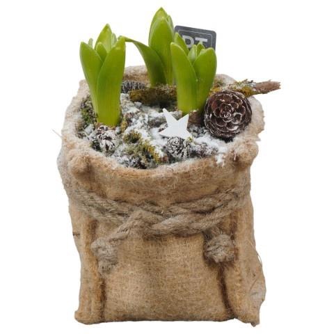 <h4>Opm Pt PTWH7731 Winter Jute Bag</h4>