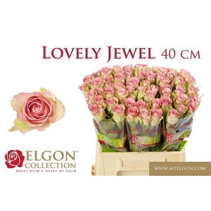 R GR LOVELY JEWEL