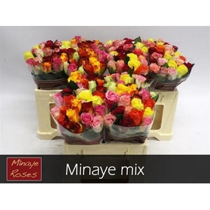 R Gr Mix In Bunch Minaye