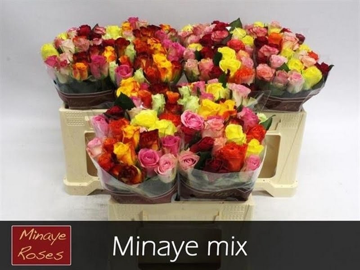 R Gr Mix In Bunch Minaye