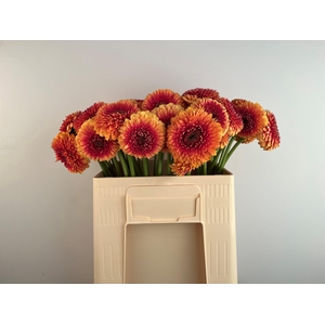 GE MB POM BEAKER