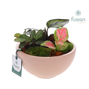 Schaal keramiek Moon Medium blush pink met groene planten