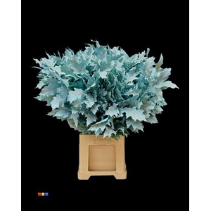 Eikeblad Frosted Light Blue 80cm