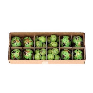 Egg Combi 8 Chicken 24 Quail L28w11h7