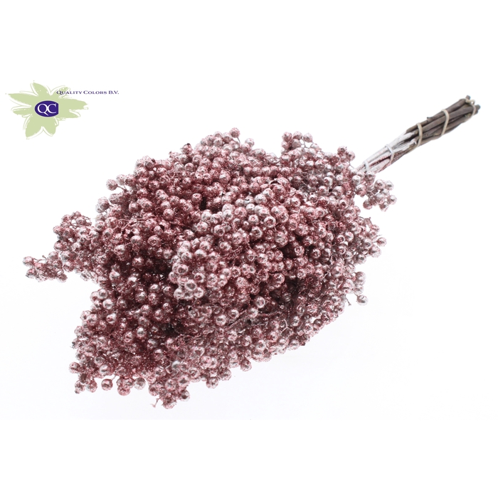 <h4>Pepperberries per bunch in poly Champagne + Glitter</h4>