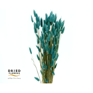 Dried Bleached Lagurus Dark Blue 100gr