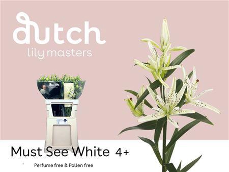 Li Az Must See Orange